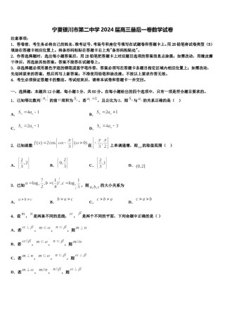 宁夏银川市第二中学2024届高三最后一卷数学试卷含解析.doc
