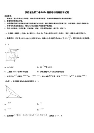 安徽省合肥二中2024届高考仿真卷数学试题含解析.doc
