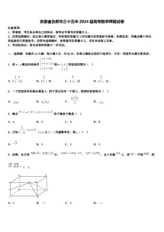 安徽省合肥市三十五中2024届高考数学押题试卷含解析.doc