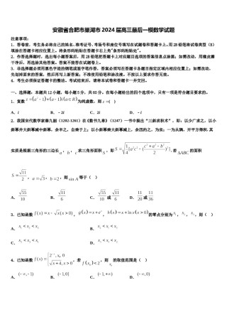 安徽省合肥市巢湖市2024届高三最后一模数学试题含解析.doc