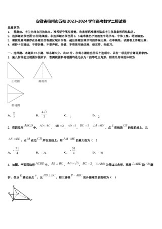 安徽省宿州市五校2023-2024学年高考数学二模试卷含解析.doc