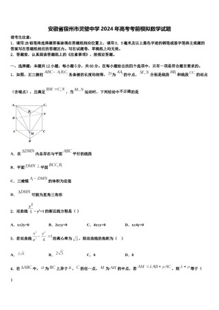安徽省宿州市灵璧中学2024年高考考前模拟数学试题含解析.doc