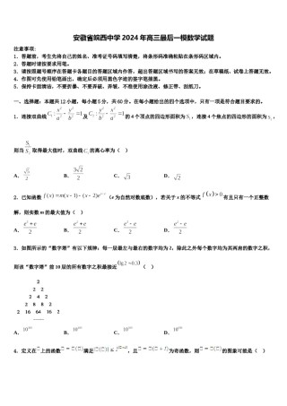 安徽省皖西中学2024年高三最后一模数学试题含解析.doc