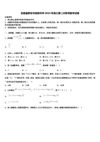 安徽省肥东市高级中学2024年高三第二次联考数学试卷含解析.doc