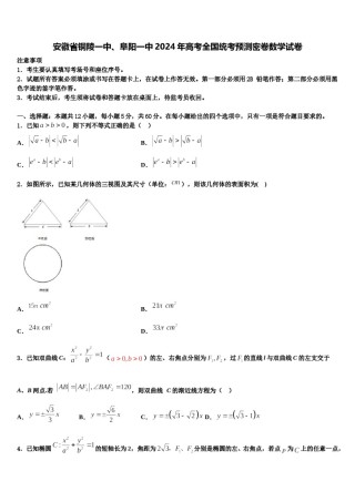 安徽省铜陵一中、阜阳一中2024年高考全国统考预测密卷数学试卷含解析.doc