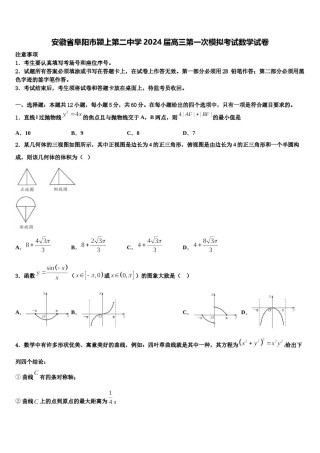 安徽省阜阳市颍上第二中学2024届高三第一次模拟考试数学试卷含解析.doc