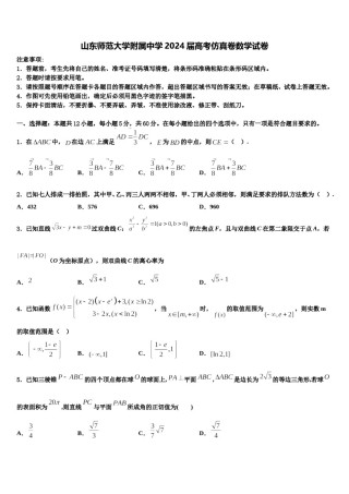 山东师范大学附属中学2024届高考仿真卷数学试卷含解析.doc