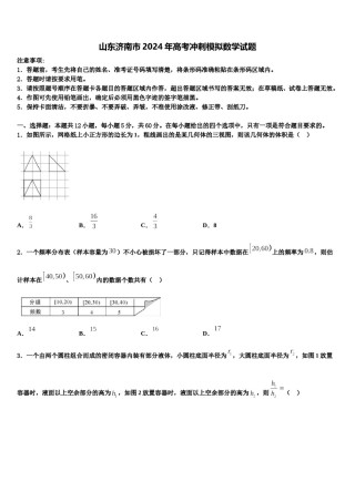 山东济南市2024年高考冲刺模拟数学试题含解析.doc