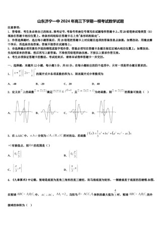 山东济宁一中2024年高三下学期一模考试数学试题含解析.doc