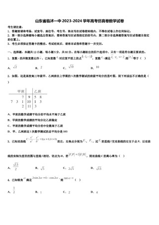 山东省临沭一中2023-2024学年高考仿真卷数学试卷含解析.doc