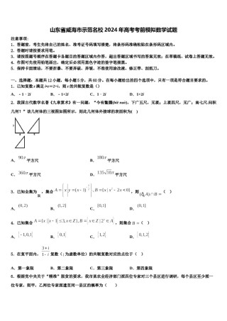 山东省威海市示范名校2024年高考考前模拟数学试题含解析.doc