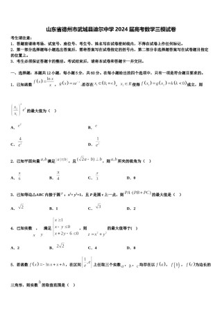 山东省德州市武城县迪尔中学2024届高考数学三模试卷含解析.doc