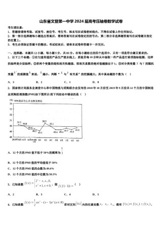 山东省文登第一中学2024届高考压轴卷数学试卷含解析.doc