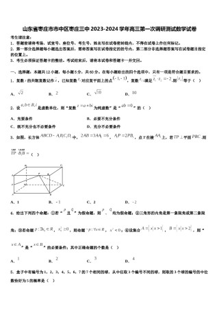 山东省枣庄市市中区枣庄三中2023-2024学年高三第一次调研测试数学试卷含解析.doc