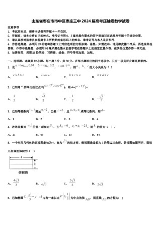 山东省枣庄市市中区枣庄三中2024届高考压轴卷数学试卷含解析.doc