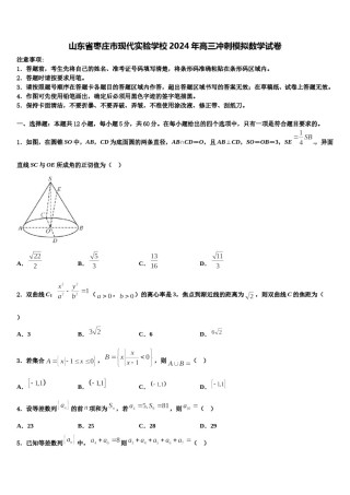 山东省枣庄市现代实验学校2024年高三冲刺模拟数学试卷含解析.doc