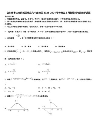 山东省枣庄市薛城区枣庄八中东校区2023-2024学年高三3月份模拟考试数学试题含解析.doc