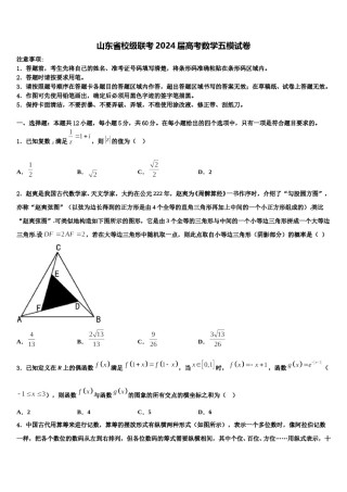 山东省校级联考2024届高考数学五模试卷含解析.doc