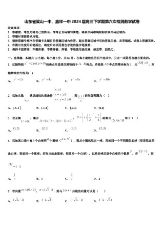 山东省梁山一中、嘉祥一中2024届高三下学期第六次检测数学试卷含解析.doc