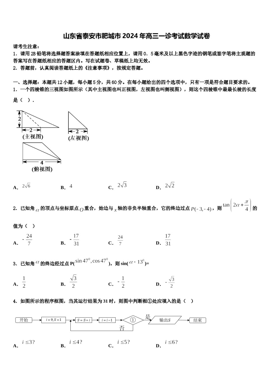 山东省泰安市肥城市2024年高三一诊考试数学试卷含解析.doc_第1页