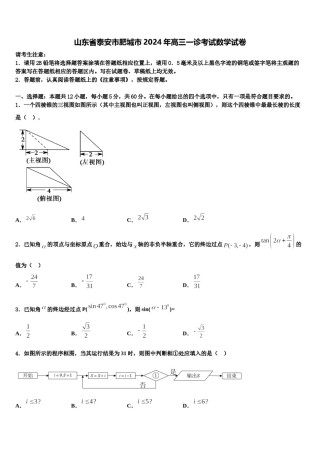 山东省泰安市肥城市2024年高三一诊考试数学试卷含解析.doc
