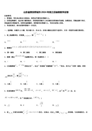 山东省泰安肥城市2024年高三压轴卷数学试卷含解析.doc