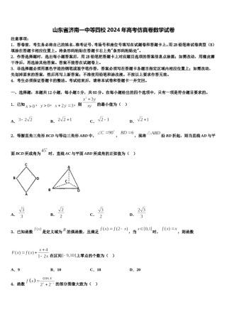 山东省济南一中等四校2024年高考仿真卷数学试卷含解析.doc