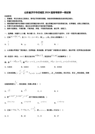山东省济宁市任城区2024届高考数学一模试卷含解析.doc
