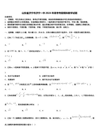 山东省济宁市济宁一中2024年高考考前模拟数学试题含解析.doc