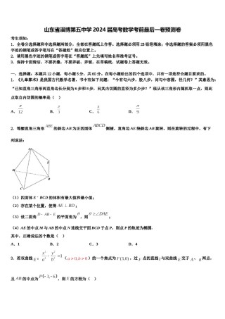山东省淄博第五中学2024届高考数学考前最后一卷预测卷含解析.doc