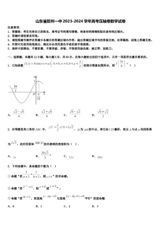 山东省胶州一中2023-2024学年高考压轴卷数学试卷含解析.doc