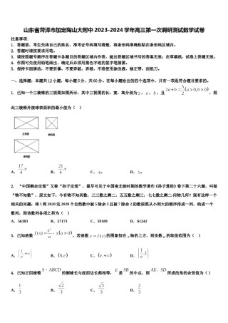 山东省菏泽市加定陶山大附中2023-2024学年高三第一次调研测试数学试卷含解析.doc