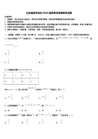 山东省高中名校2024届高考仿真卷数学试题含解析.doc
