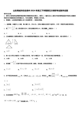 山东禹城市综合高中2024年高三下学期第五次调研考试数学试题含解析.doc