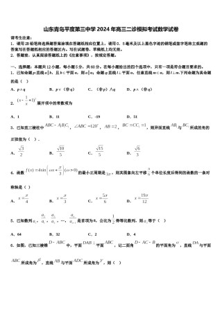 山东青岛平度第三中学2024年高三二诊模拟考试数学试卷含解析.doc