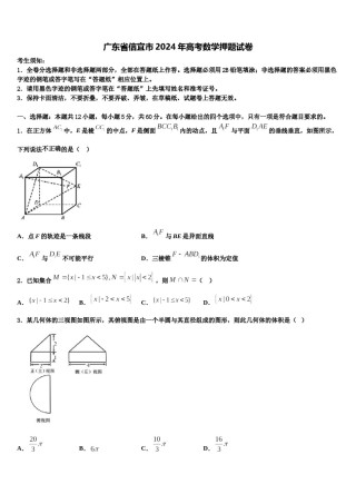 广东省信宜市2024年高考数学押题试卷含解析.doc
