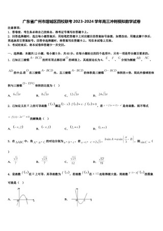 广东省广州市增城区四校联考2023-2024学年高三冲刺模拟数学试卷含解析.doc