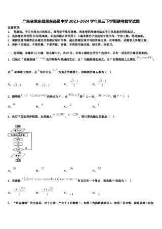 广东省惠东县惠东高级中学2023-2024学年高三下学期联考数学试题含解析.doc