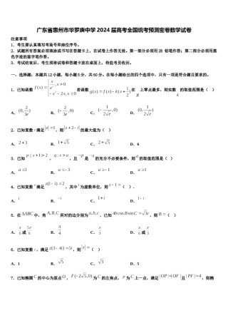 广东省惠州市华罗庚中学2024届高考全国统考预测密卷数学试卷含解析.doc