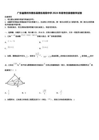 广东省惠州市惠东县惠东高级中学2024年高考仿真卷数学试卷含解析.doc