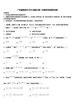 广东省梅州市2024届高三第一次模拟考试数学试卷含解析.doc