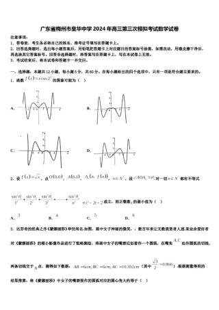 广东省梅州市皇华中学2024年高三第三次模拟考试数学试卷含解析.doc