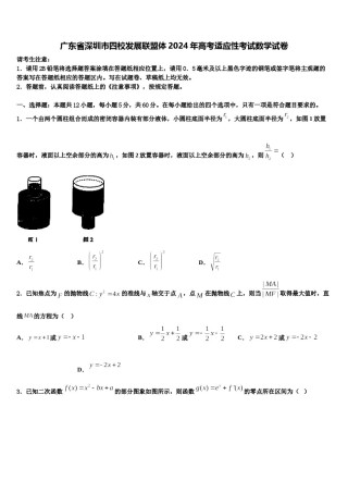 广东省深圳市四校发展联盟体2024年高考适应性考试数学试卷含解析.doc