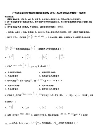 广东省深圳市罗湖区罗湖外国语学校2023-2024学年高考数学一模试卷含解析.doc