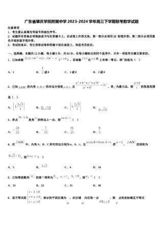 广东省肇庆学院附属中学2023-2024学年高三下学期联考数学试题含解析.doc