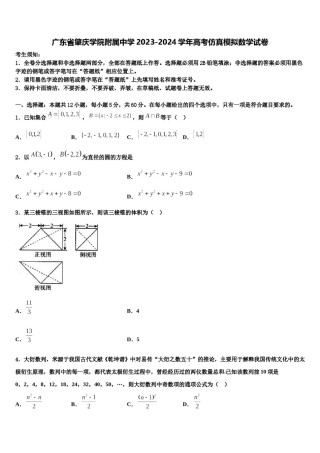 广东省肇庆学院附属中学2023-2024学年高考仿真模拟数学试卷含解析.doc