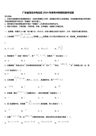 广东省茂名市电白区2024年高考冲刺模拟数学试题含解析.doc