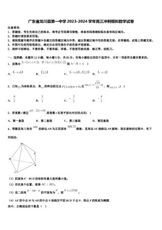 广东省龙川县第一中学2023-2024学年高三冲刺模拟数学试卷含解析.doc