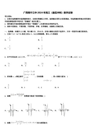 广西南宁三中2024年高三（最后冲刺）数学试卷含解析.doc
