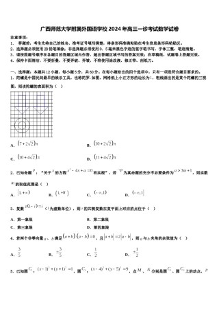 广西师范大学附属外国语学校2024年高三一诊考试数学试卷含解析.doc